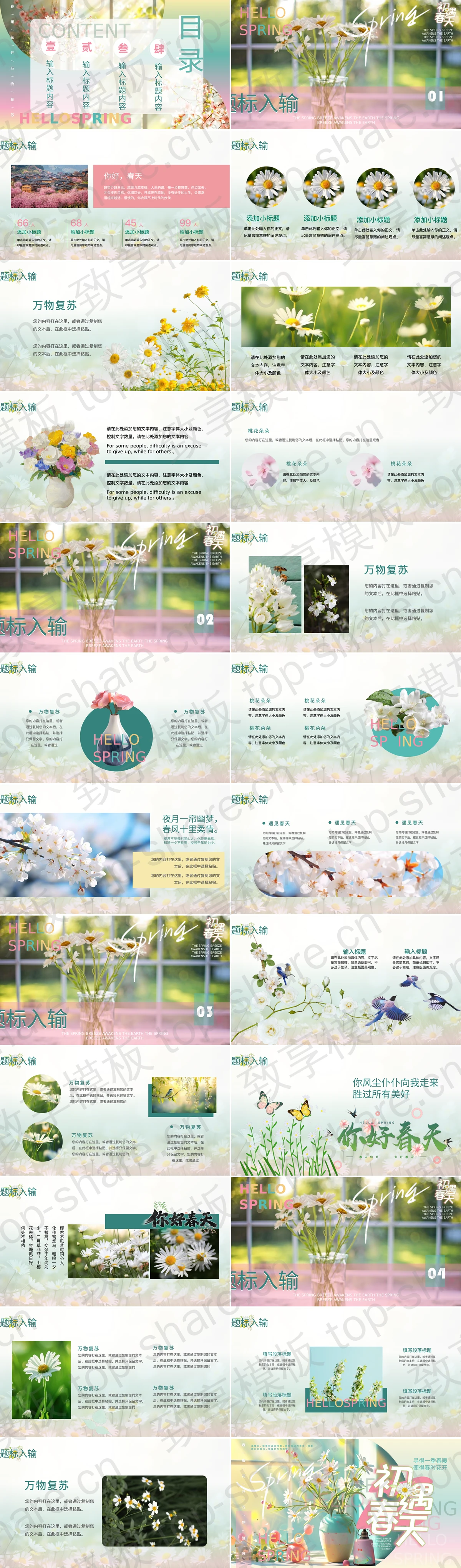 图片[2]-多彩时尚花瓶背景“初遇春天”植物系商务汇报PPT模板 - 致享TOP-SHARE-致享TOP-SHARE