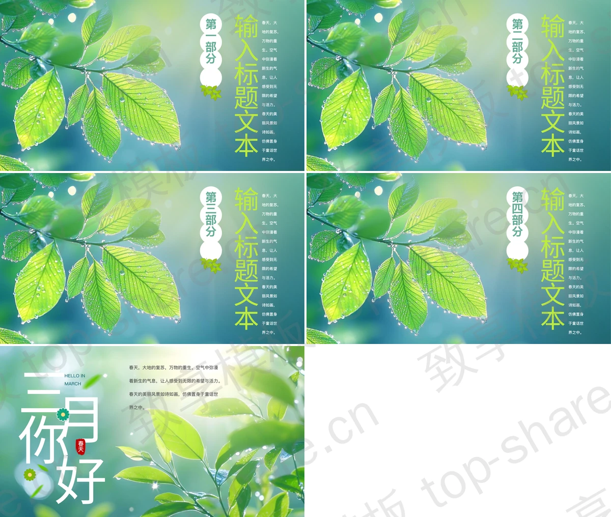 图片[2]-清新绿叶背景的“三月你好”春天主题PPT模板 - 致享TOP-SHARE-致享TOP-SHARE