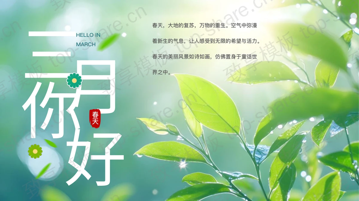 清新绿叶背景的“三月你好”春天主题PPT模板-致享TOP-SHARE