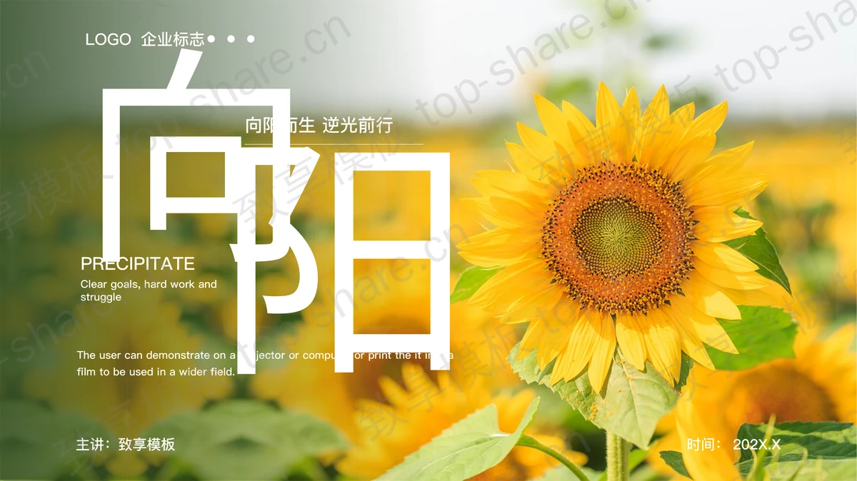绿色向日葵背景的“向阳而生逆光前行”小清新商务汇报PPT模板-致享TOP-SHARE