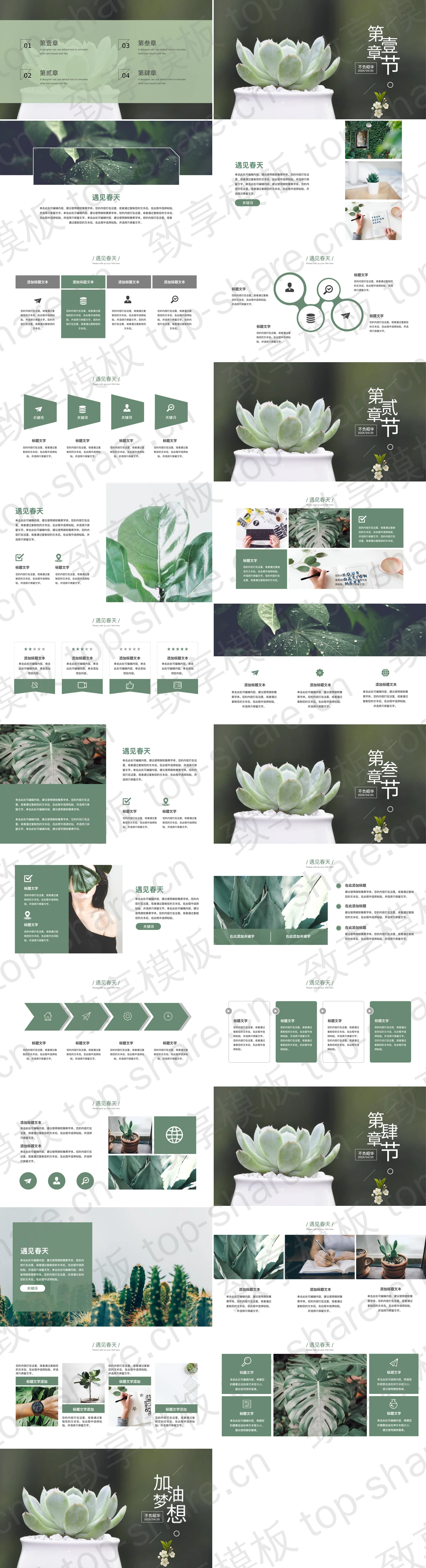 图片[2]-绿色精美盆景背景的“遇见春天”植物系商务汇报PPT模板 - 致享TOP-SHARE-致享TOP-SHARE