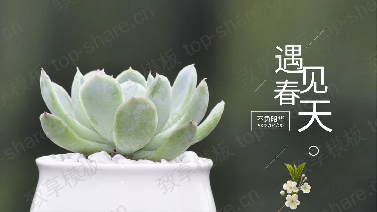 绿色精美盆景背景的“遇见春天”植物系商务汇报PPT模板-致享TOP-SHARE