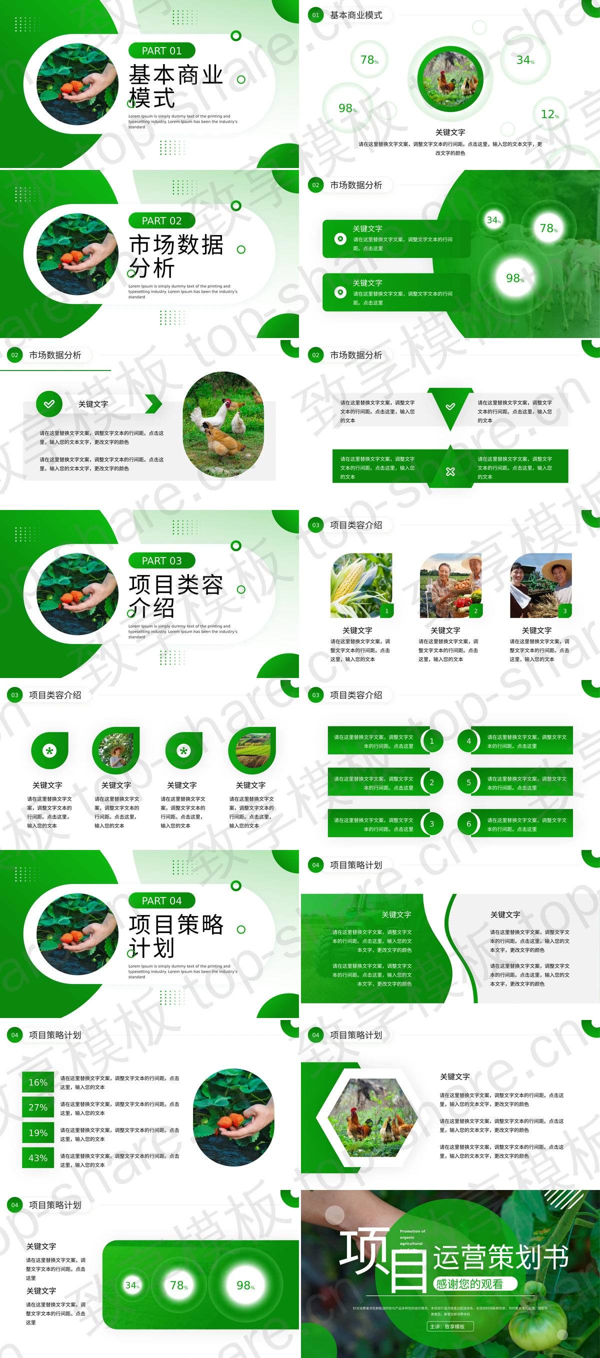 图片[2]-绿色农产品生鲜行业项目运营策划书PPT模板 - 致享TOP-SHARE-致享TOP-SHARE