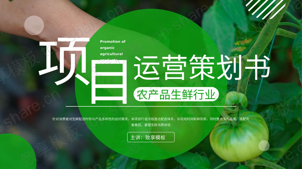 绿色农产品生鲜行业项目运营策划书PPT模板-致享TOP-SHARE