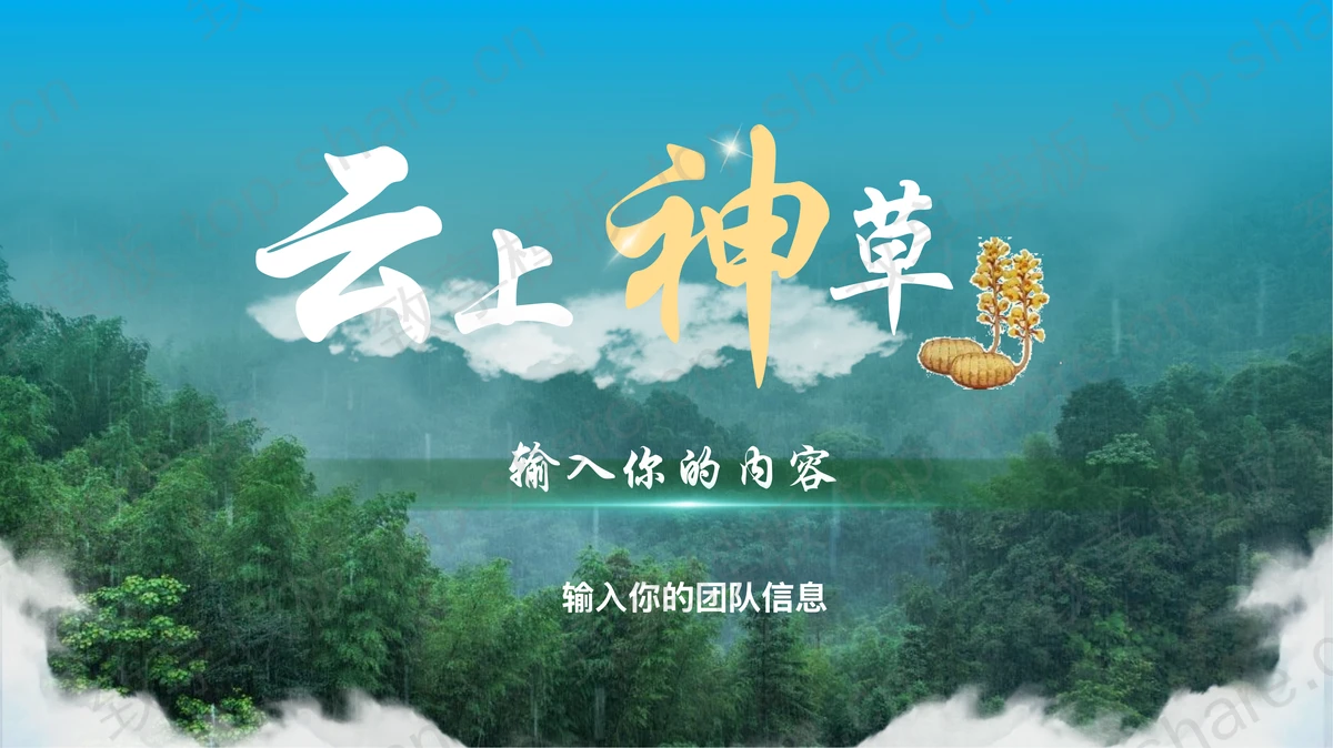 茂密森林背景“云上神草”中医中药介绍PPT模板-致享TOP-SHARE