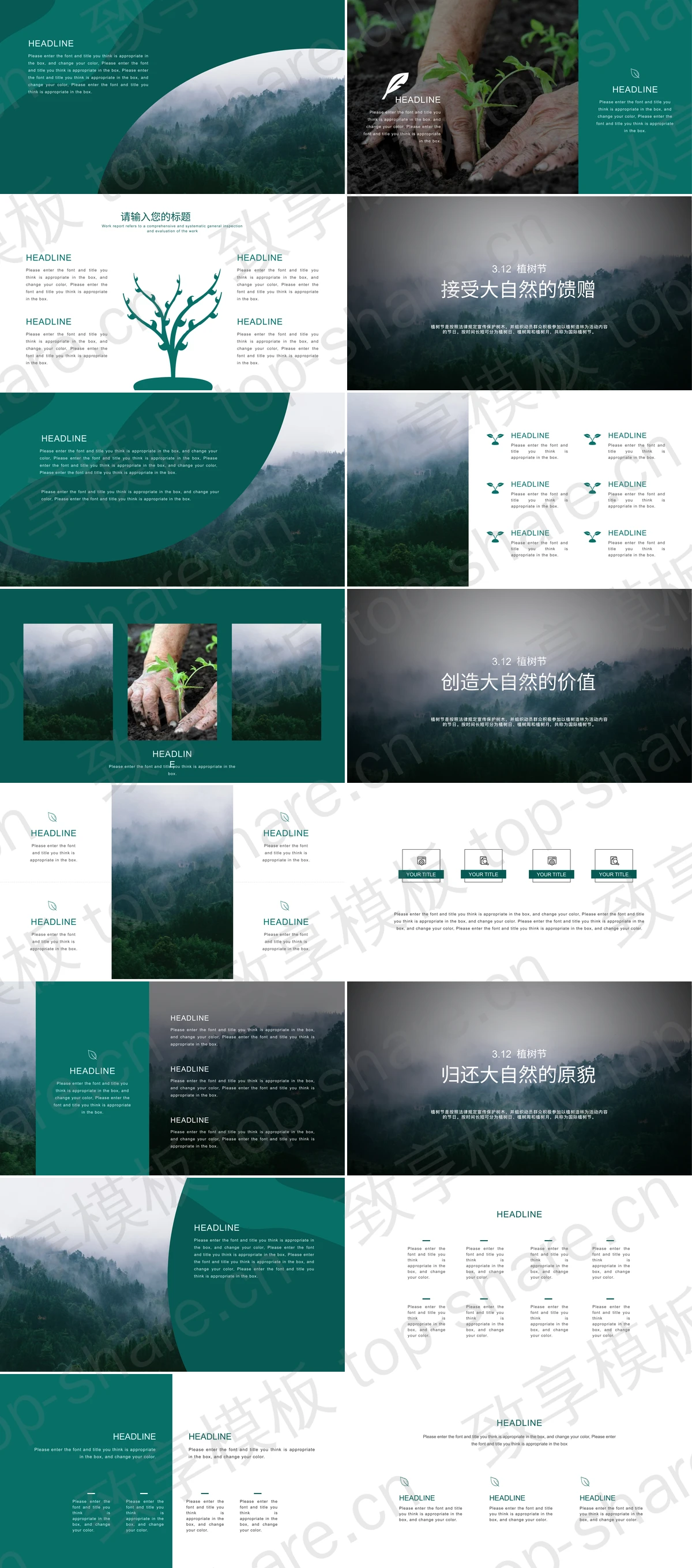 图片[2]-绿色森林背景植树节节日主题通用PPT模板 - 致享TOP-SHARE-致享TOP-SHARE