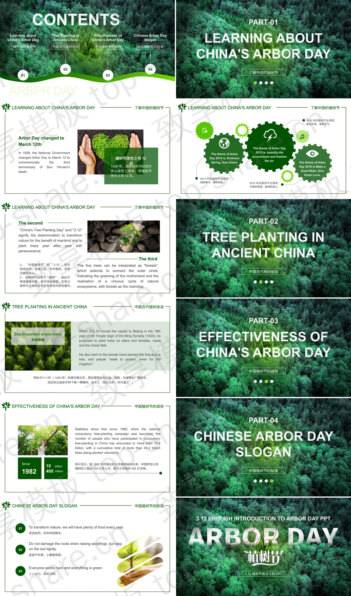 图片[2]-绿色森林背景312植树节英文介绍PPT模板 - 致享TOP-SHARE-致享TOP-SHARE