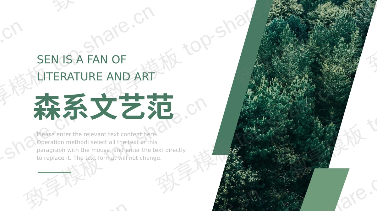 绿色森林背景的森系文艺范商务汇报PPT模板-致享TOP-SHARE