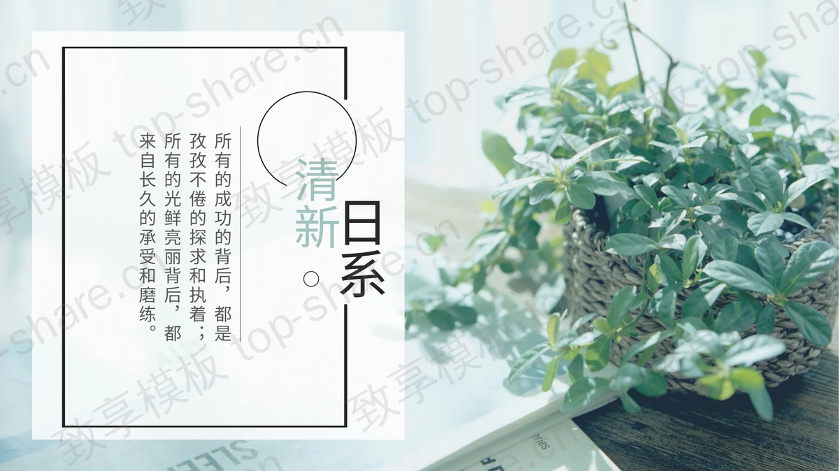精美绿叶盆栽背景的清新日系通用PPT模板 - 致享TOP-SHARE-致享TOP-SHARE