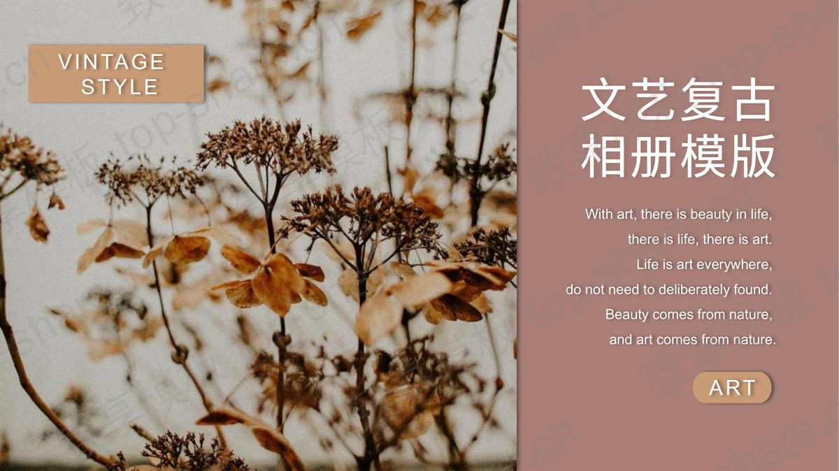 精美树叶小花背景的文艺复古相册PPT模版-致享TOP-SHARE
