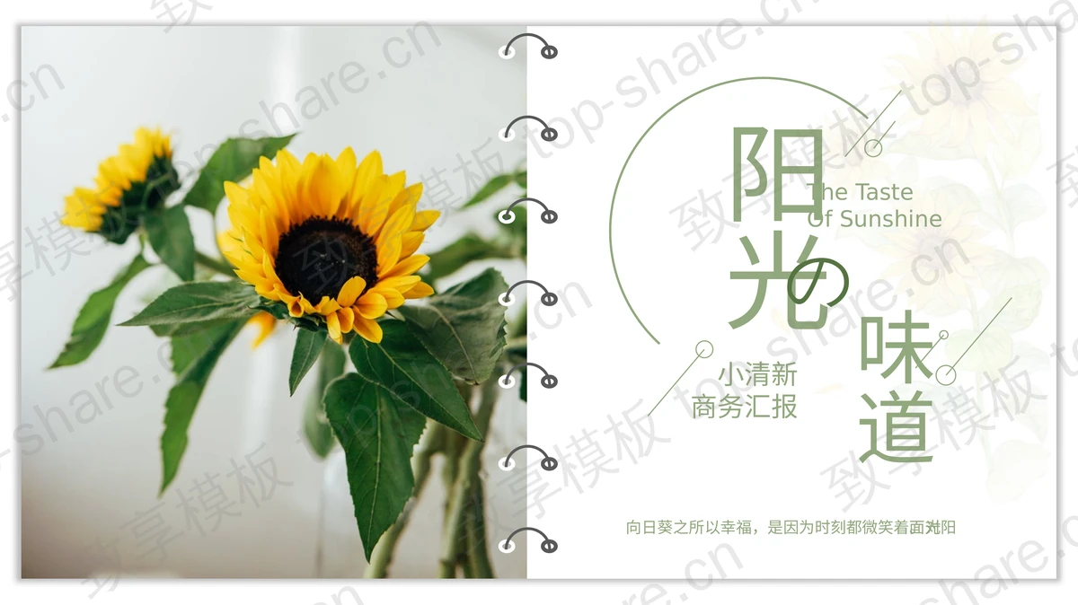 绿色相册样式向日葵背景的“阳光の味道”小清新商务汇报PPT模板-致享TOP-SHARE