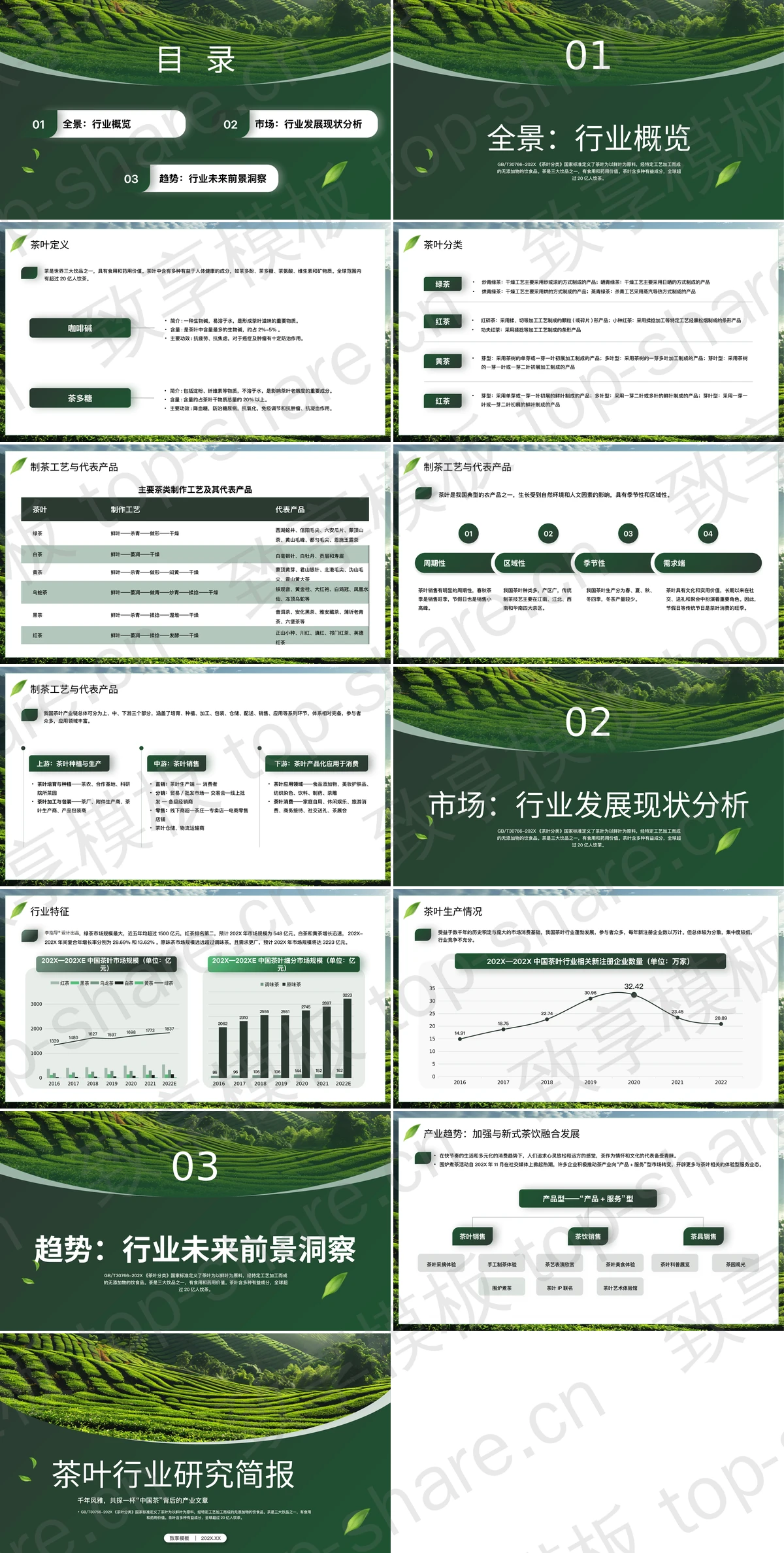图片[2]-绿色清新茶田背景的茶叶行业研究简报PPT模板 - 致享TOP-SHARE-致享TOP-SHARE