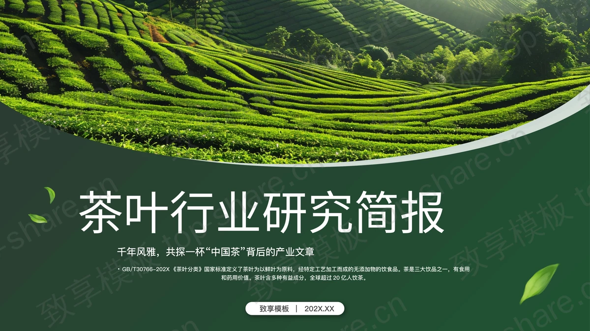 绿色清新茶田背景的茶叶行业研究简报PPT模板-致享TOP-SHARE