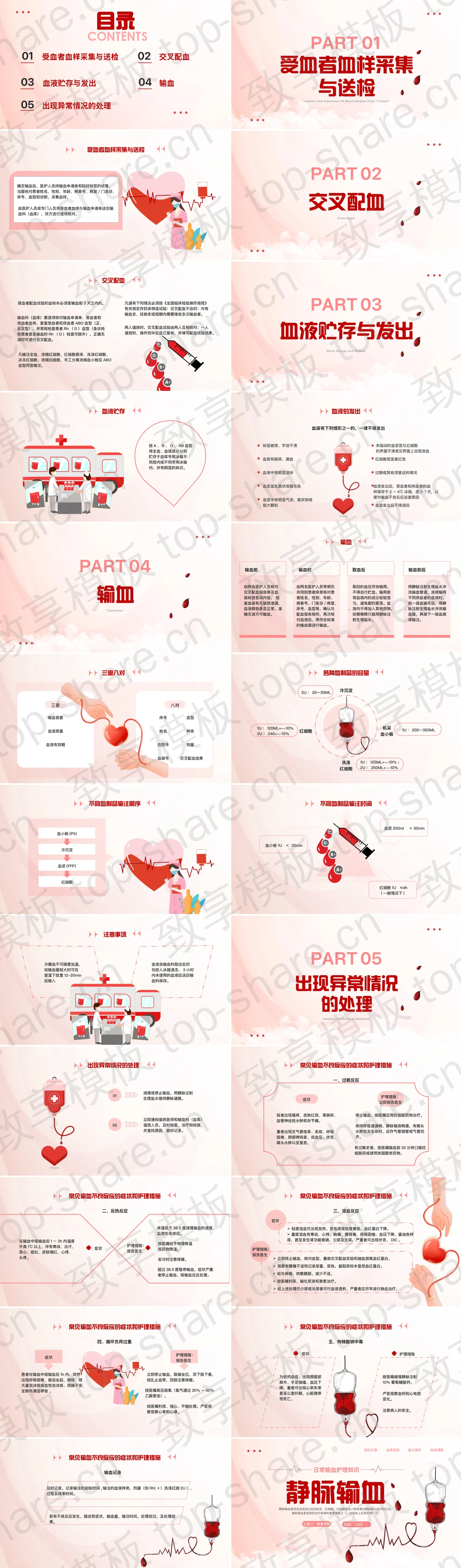图片[2]-红色日常输血护理知识培训PPT模板 - 致享TOP-SHARE-致享TOP-SHARE