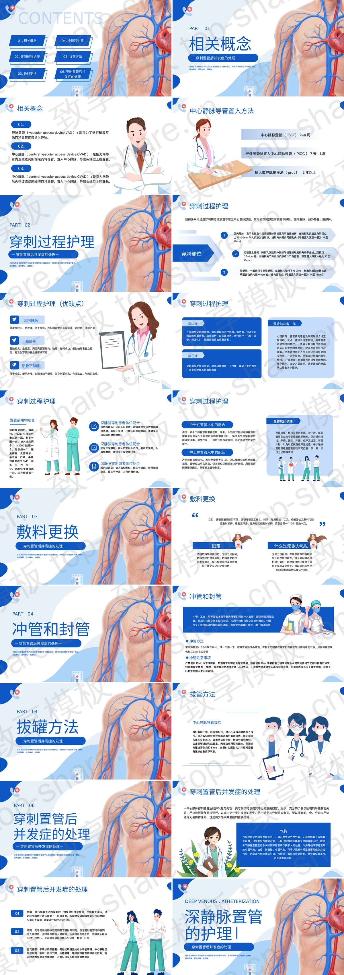 图片[2]-蓝色人体结构图背景的深静脉置管的护理医学培训PPT模板 - 致享TOP-SHARE-致享TOP-SHARE