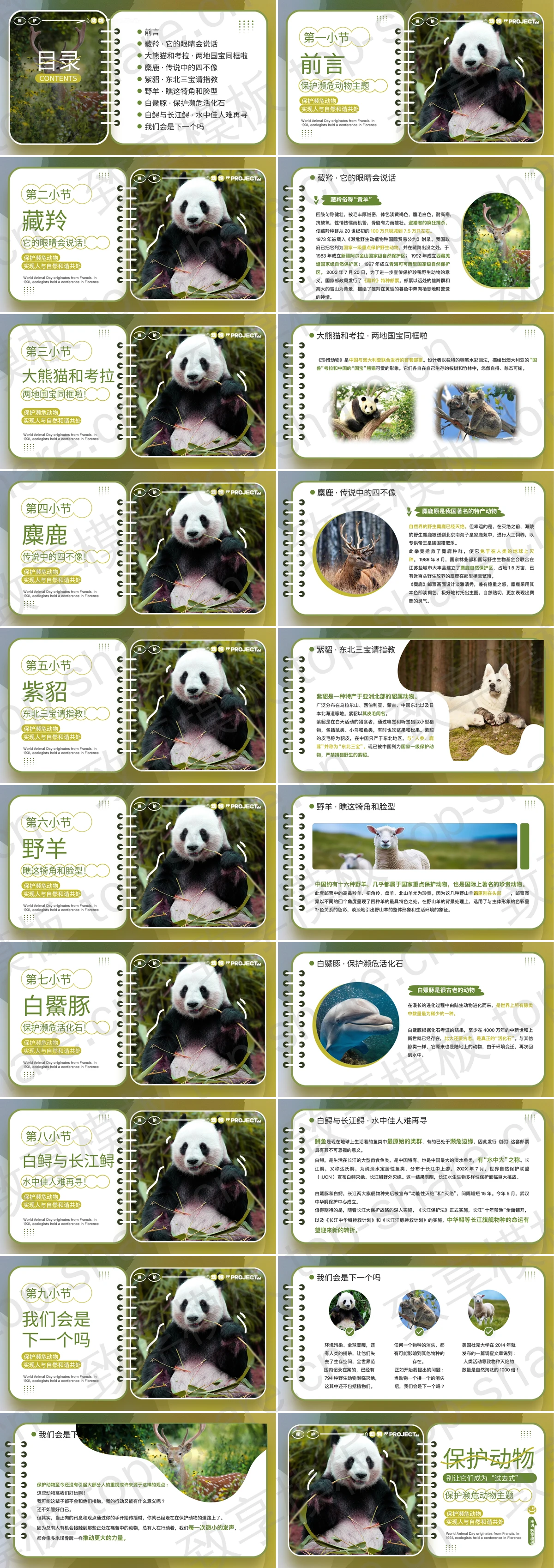 图片[2]-绿色大熊猫背景的保护濒危动物主题PPT模板下载 - 致享TOP-SHARE-致享TOP-SHARE