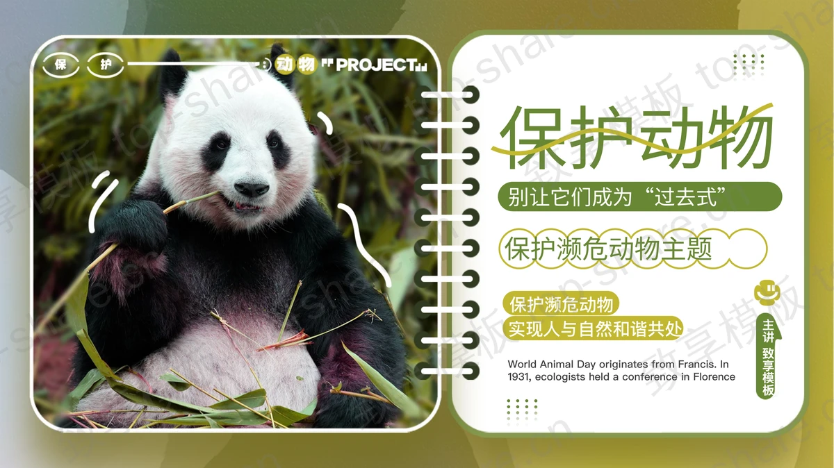 绿色大熊猫背景的保护濒危动物主题PPT模板下载-致享TOP-SHARE