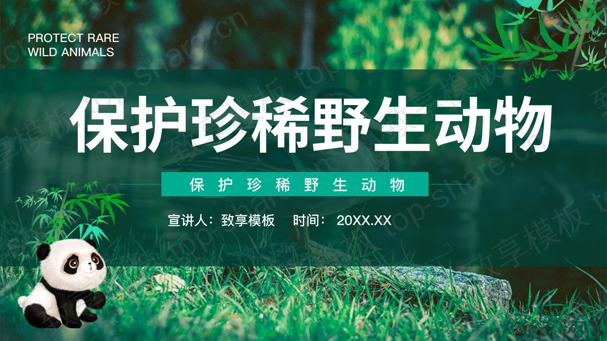 绿色熊猫背景的的保护珍稀野生动物PPT模板下载-致享TOP-SHARE