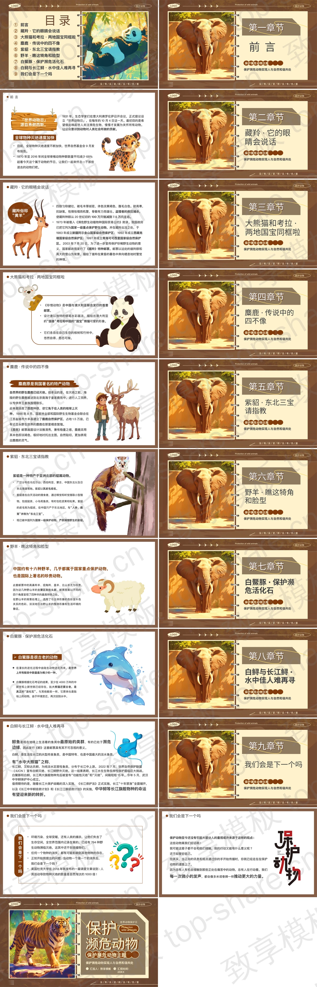 图片[2]-褐色老虎背景的保护濒危动物环保主题PPT模板下载 - 致享TOP-SHARE-致享TOP-SHARE