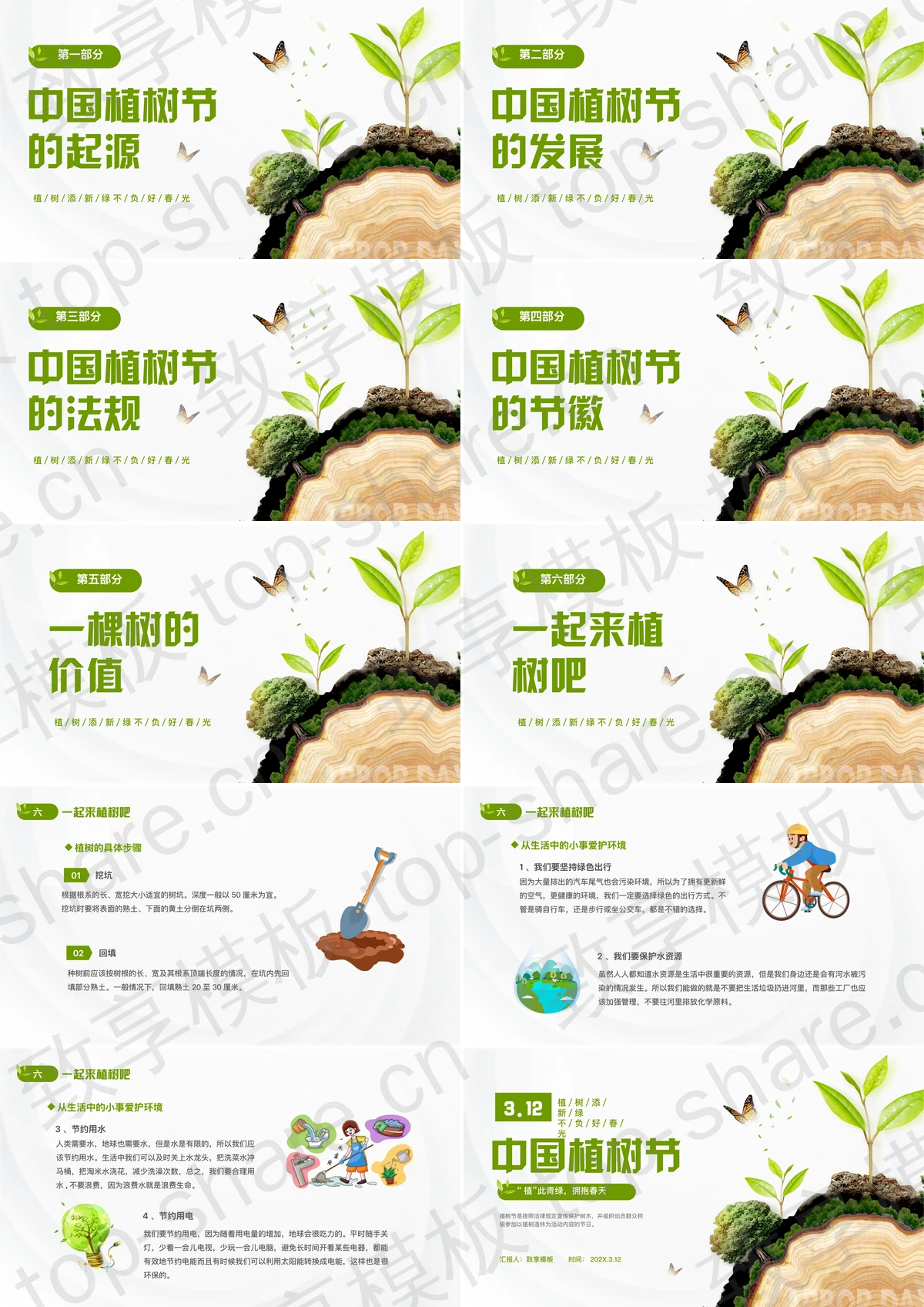 图片[2]-绿色大树树桩背景的中国植树节节日介绍PPT模板 - 致享TOP-SHARE-致享TOP-SHARE