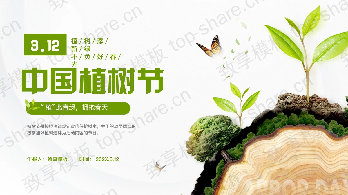 绿色大树树桩背景的中国植树节节日介绍PPT模板-致享TOP-SHARE