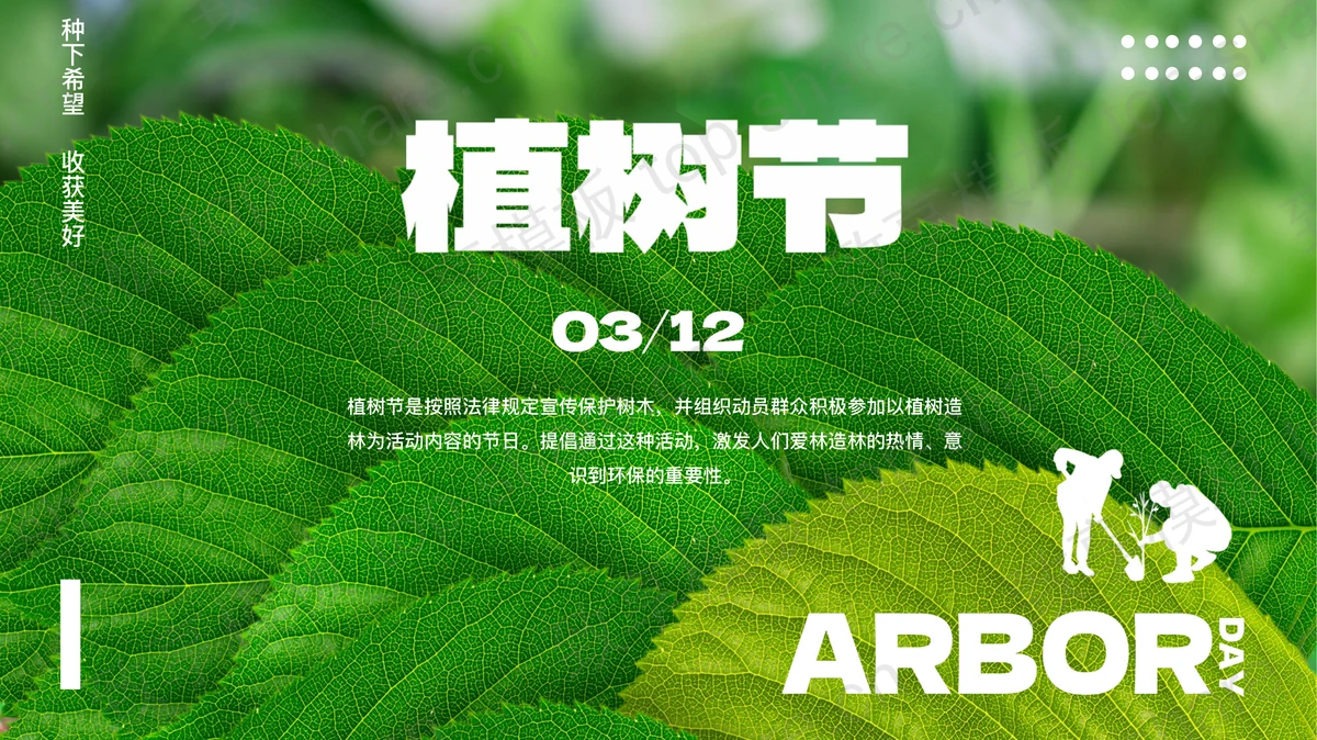 绿色清新树叶背景的植树节节日介绍PPT模板-致享TOP-SHARE