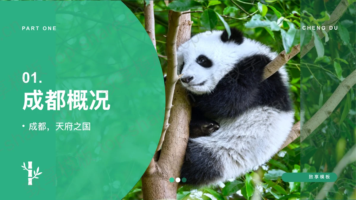 绿色熊猫背景的成都城市介绍PPT模板-致享TOP-SHARE