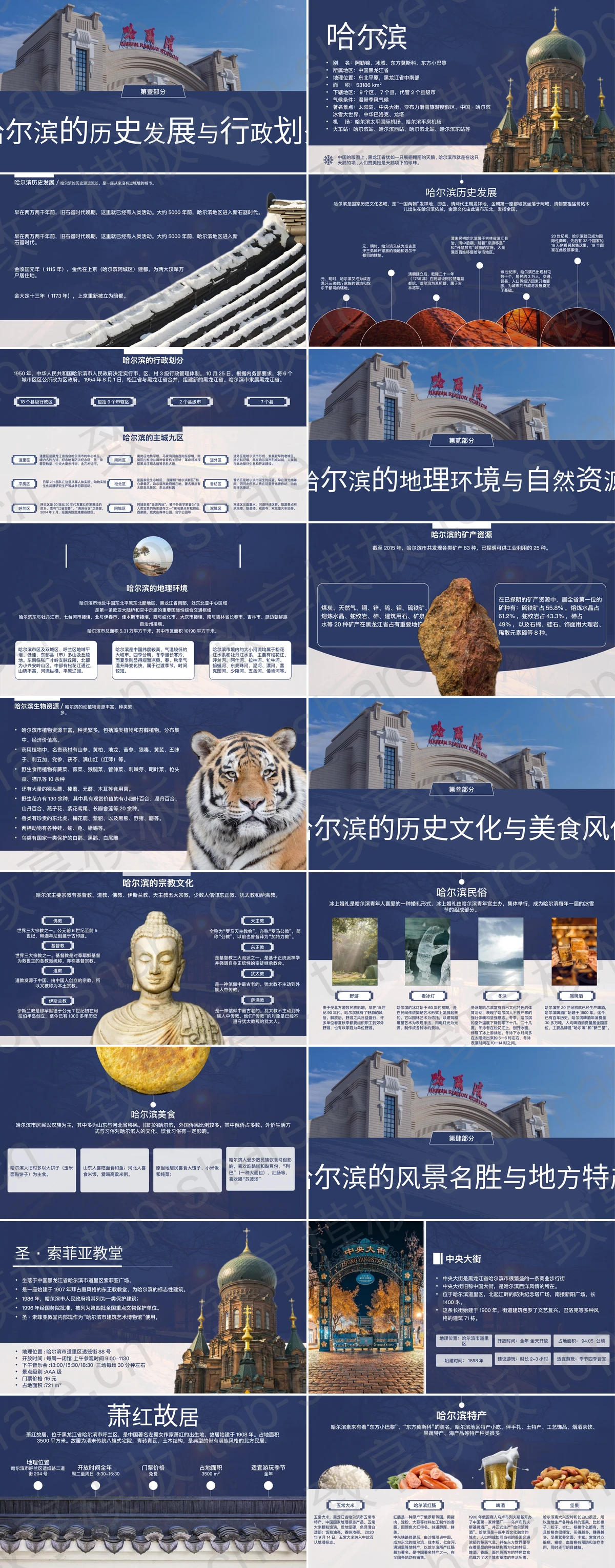 图片[2]-冰雪之都哈尔滨城市介绍PPT模板下载 - 致享TOP-SHARE-致享TOP-SHARE