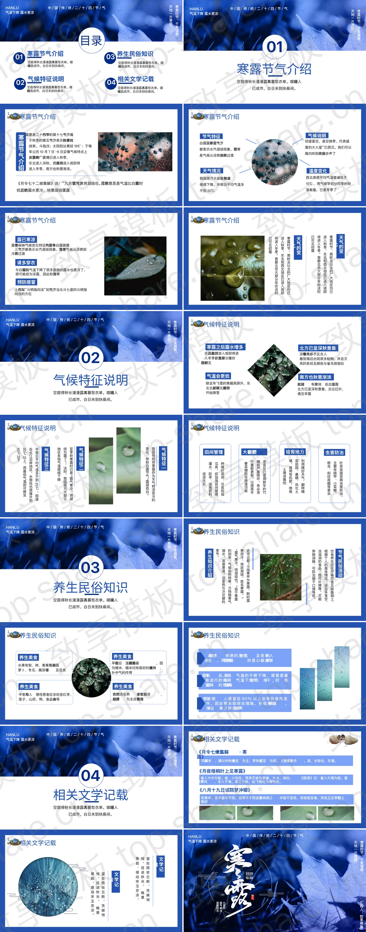 图片[2]-蓝色树叶背景中国传统二十四节气之寒露节气介绍PPT模板 - 致享TOP-SHARE-致享TOP-SHARE