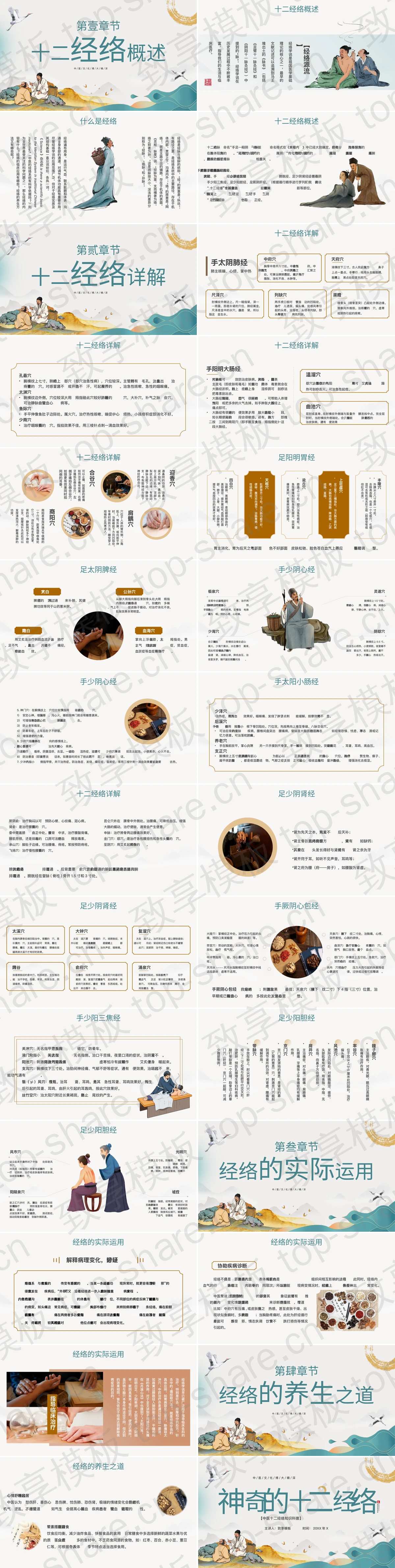 图片[2]-古典中国风“神奇的十二经络”中医知识科普PPT模板 - 致享TOP-SHARE-致享TOP-SHARE