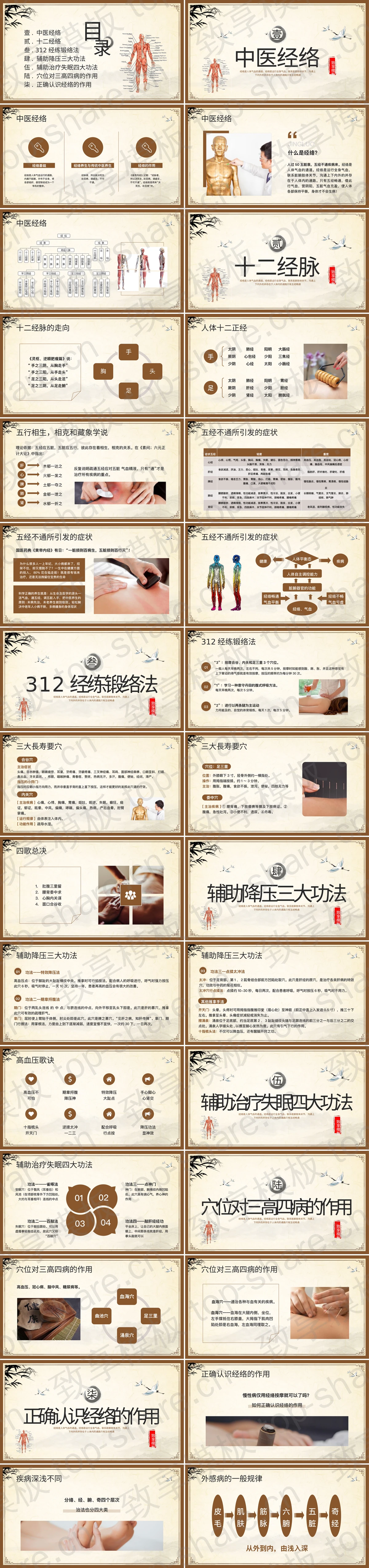 图片[2]-人体解剖图背景中医经络知识讲解PPT模板 - 致享TOP-SHARE-致享TOP-SHARE
