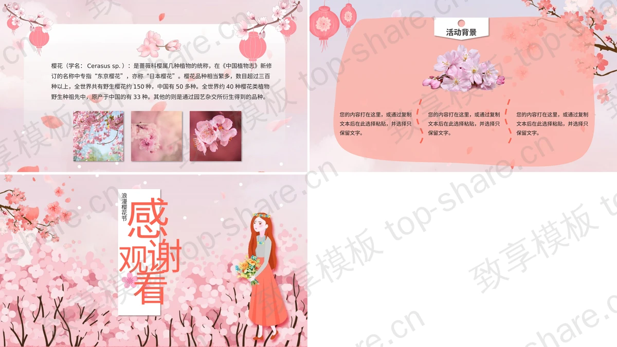 图片[2]-粉色唯美“樱花大赏”浪漫樱花节活动策划PPT模板 - 致享TOP-SHARE-致享TOP-SHARE