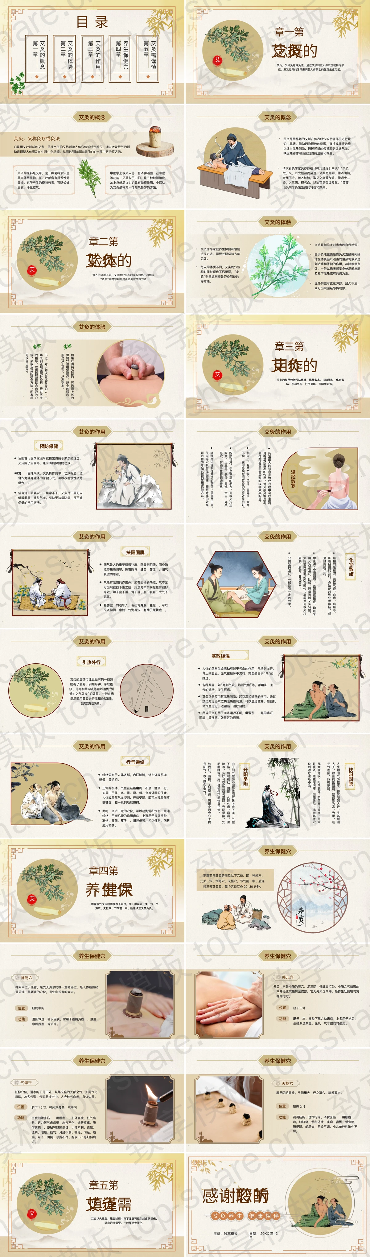 图片[2]-古典中国风“艾灸养生健康相伴”中医养生知识讲座PPT模板 - 致享TOP-SHARE-致享TOP-SHARE