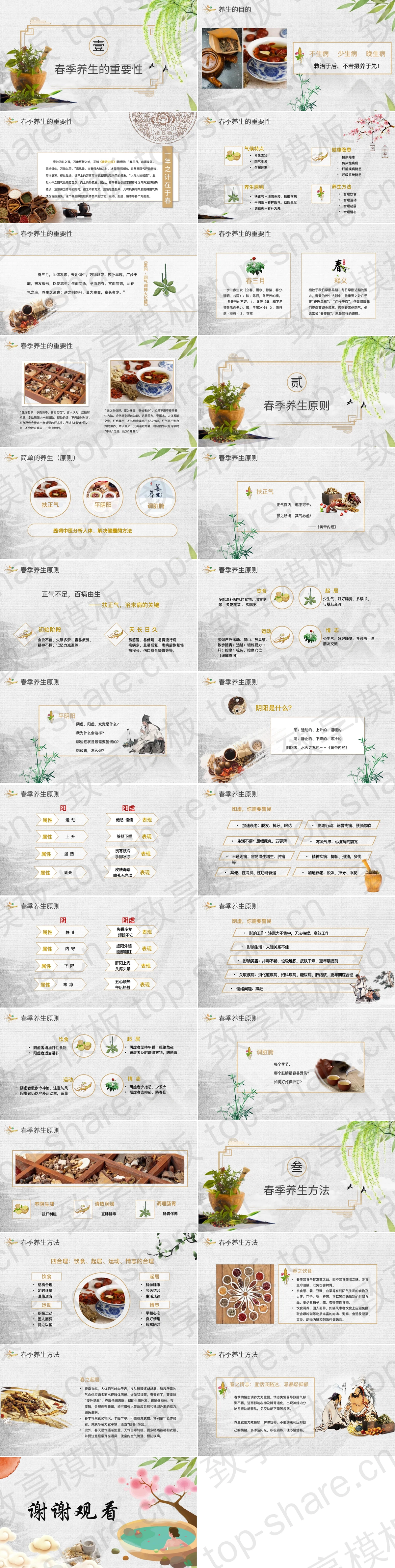 图片[2]-彩色精美国风春季养生知识讲座PPT模板 - 致享TOP-SHARE-致享TOP-SHARE