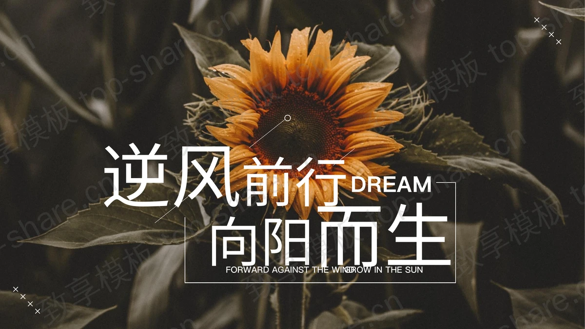 黑色向日葵背景的“逆风前行向阳而生”通用PPT模板-致享TOP-SHARE