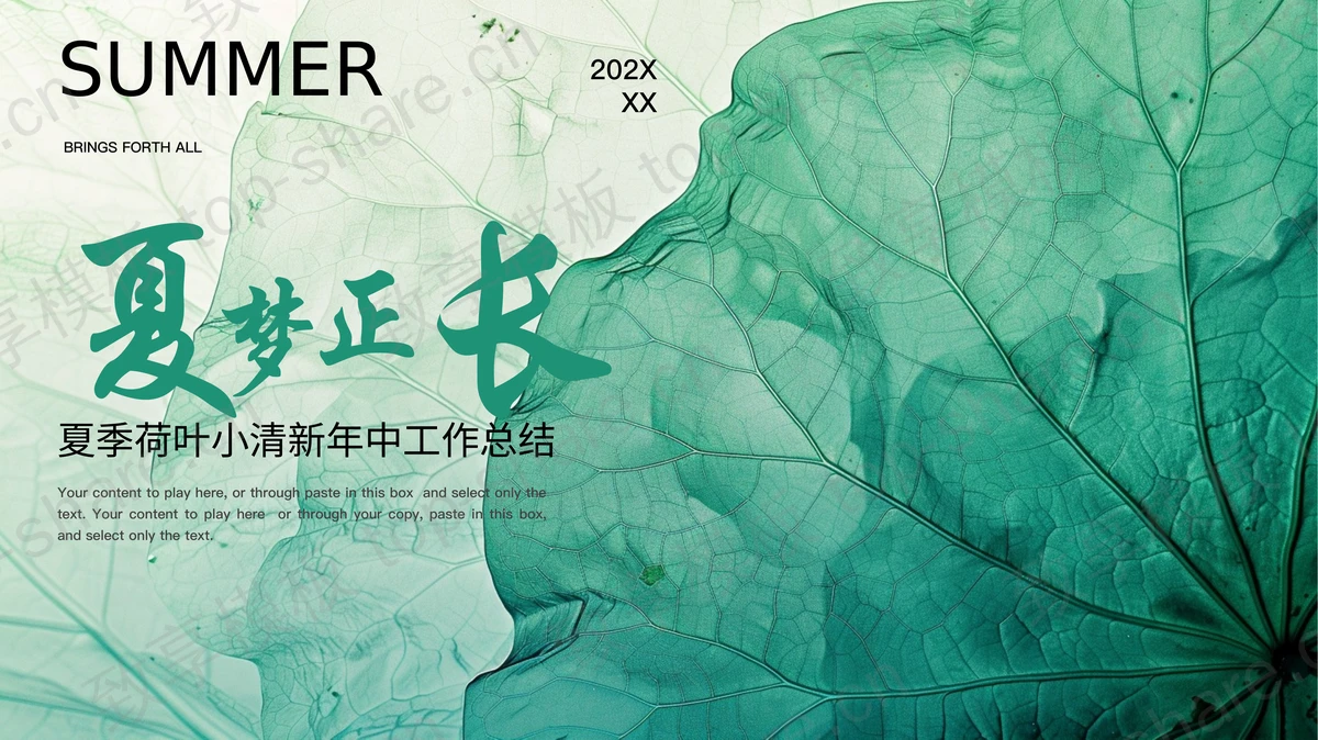 绿色“夏梦正长”夏季荷叶小清新年中工作总结PPT模板-致享TOP-SHARE