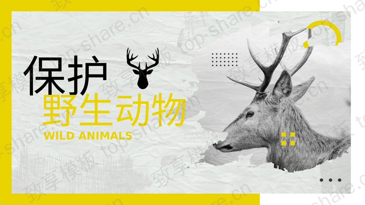 黄色麋鹿背景的保护野生动物PPT模板下载-致享TOP-SHARE