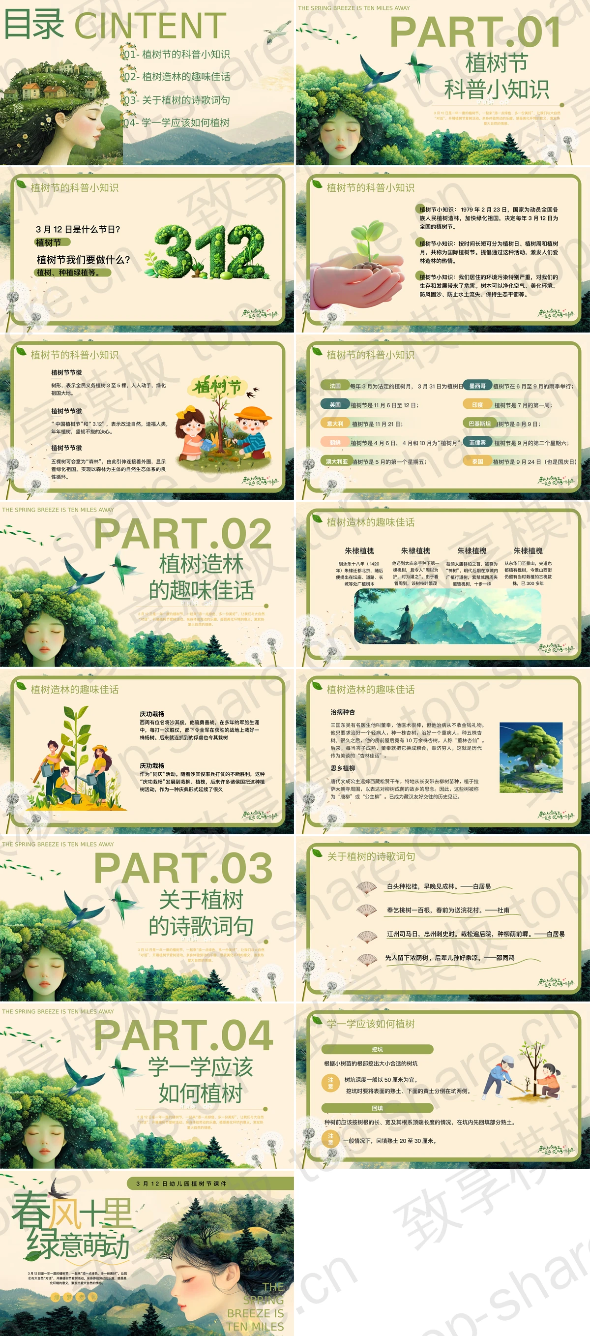 图片[2]-绿色森林背景的“春风十里绿意萌动”幼儿园植树节介绍PPT模板 - 致享TOP-SHARE-致享TOP-SHARE
