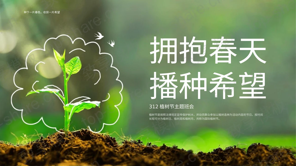 绿色泥土嫩苗背景的“拥抱春天播种希望”植树节主题班会PPT模板-致享TOP-SHARE