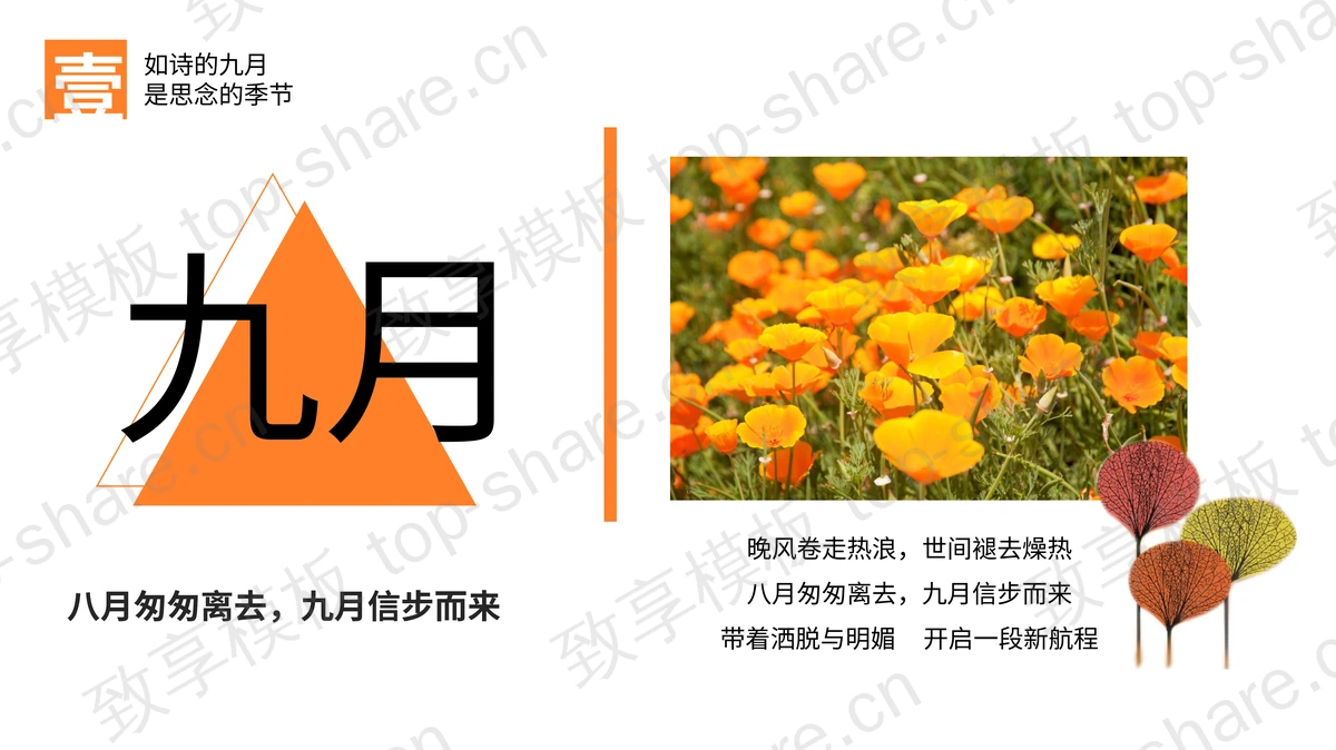 艺术秋天叶子背景的九月你好PPT模板下载-致享TOP-SHARE