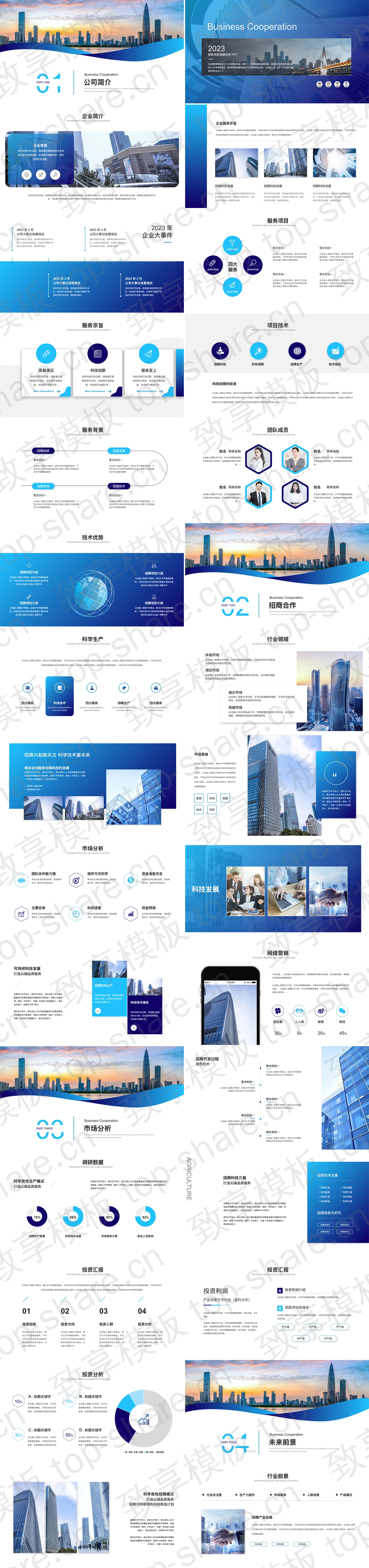 图片[2]-“合作共赢领航未来”商业项目招商合作PPT模板下载 - 致享TOP-SHARE-致享TOP-SHARE