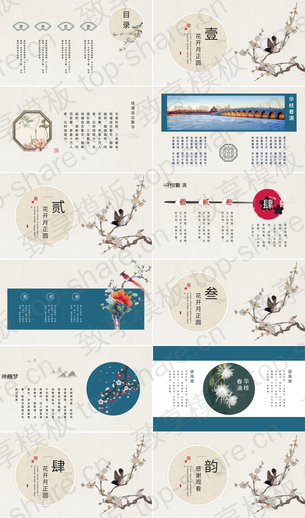 图片[2]-工笔花鸟背景典雅中国风PPT模板 - 致享TOP-SHARE-致享TOP-SHARE