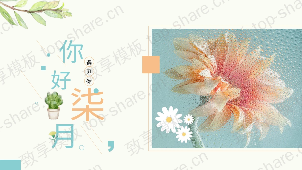 蓝色精美花卉背景的“你好柒月”商务汇报PPT模板-致享TOP-SHARE