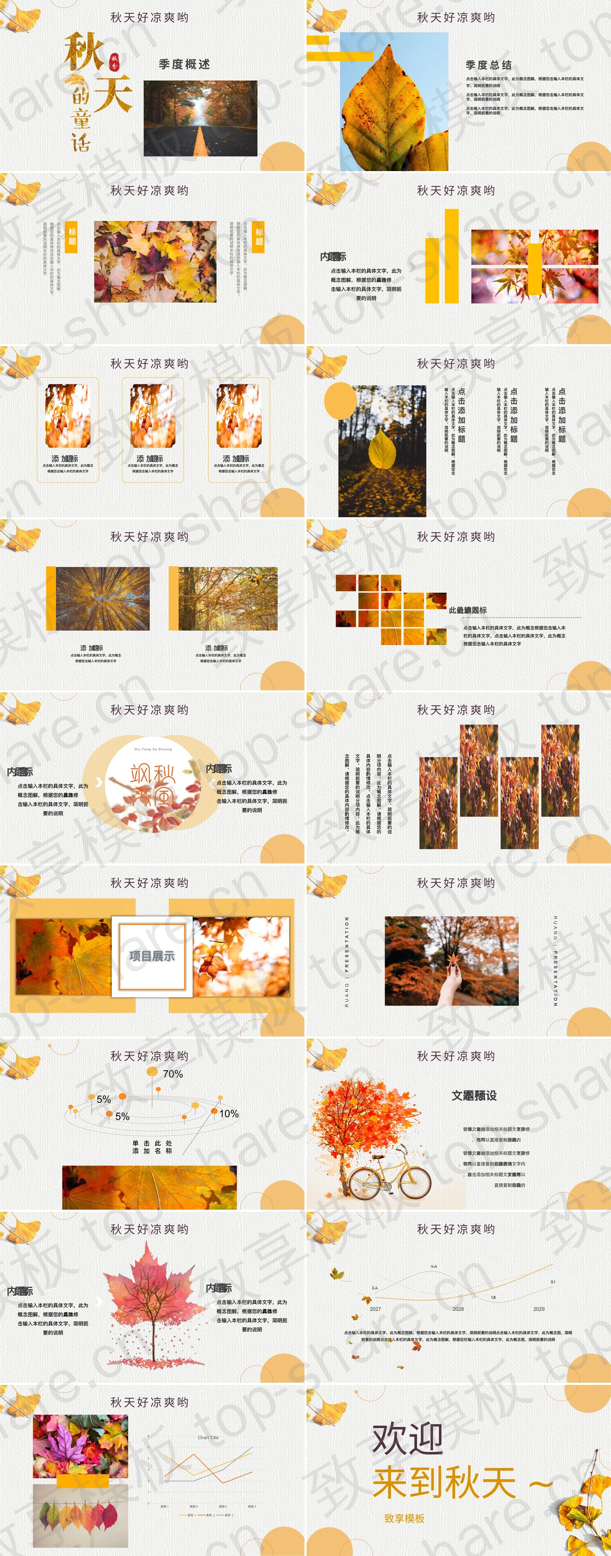图片[2]-秋天的银杏叶背景“寻觅秋天的踪迹”PPT模板 - 致享TOP-SHARE-致享TOP-SHARE