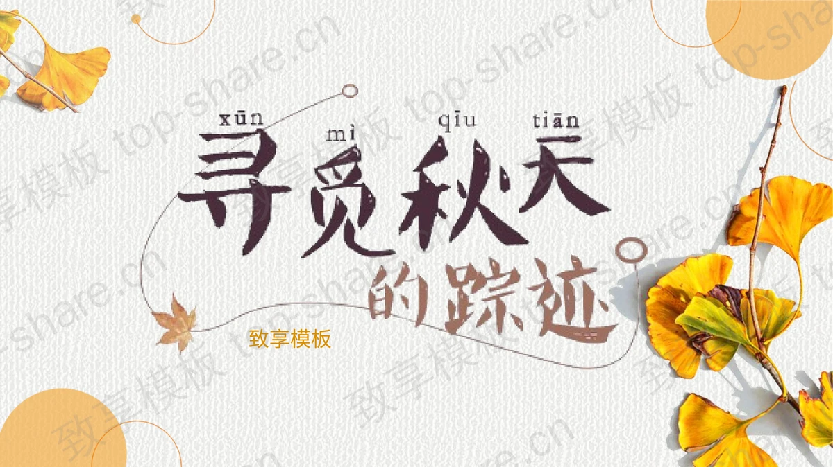 秋天的银杏叶背景“寻觅秋天的踪迹”PPT模板-致享TOP-SHARE
