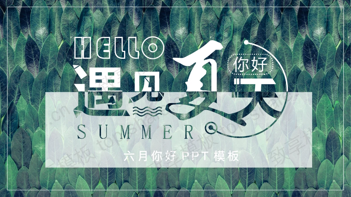 清新绿色树叶背景遇见夏天PPT模板下载-致享TOP-SHARE