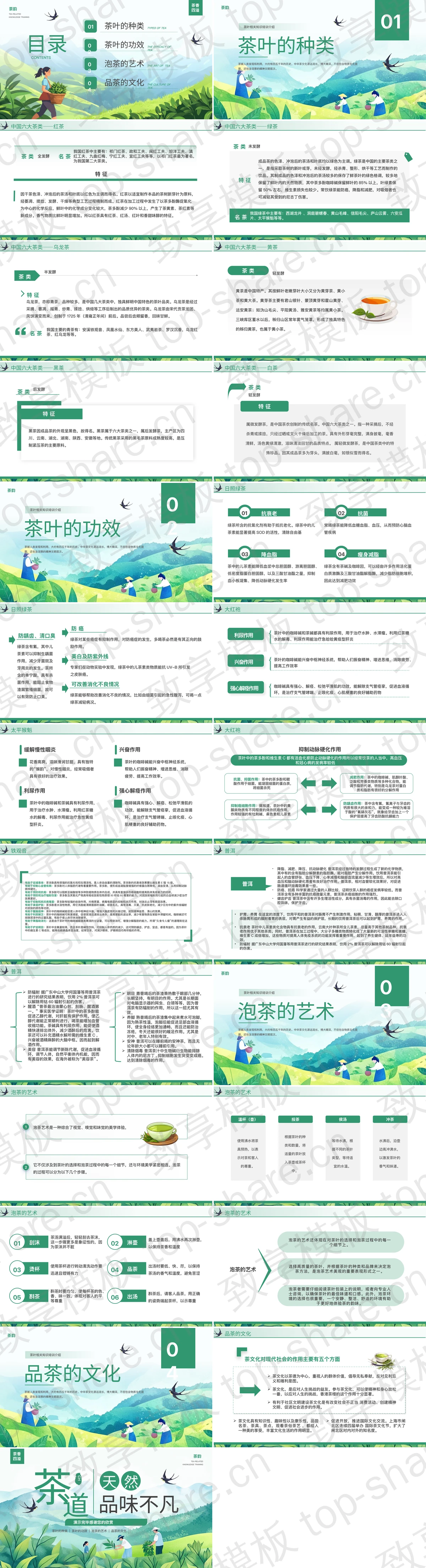 图片[2]-绿色清新插画风“天然品味不凡”茶道茶叶相关知识培训介绍PPT模板 - 致享TOP-SHARE-致享TOP-SHARE