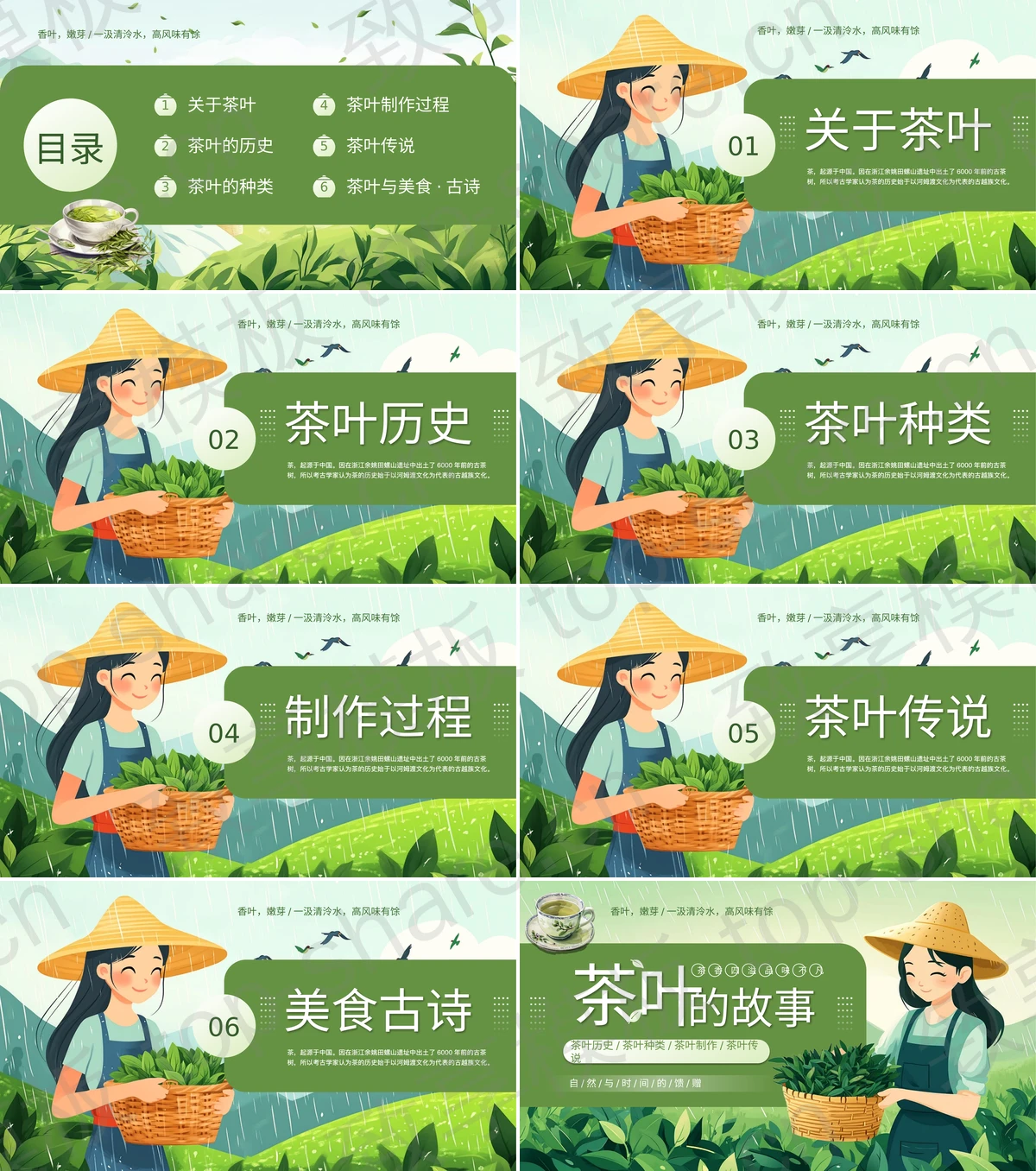 图片[2]-绿色插画女孩背景的“茶叶的故事”茶文化宣传介绍PPT模板 - 致享TOP-SHARE-致享TOP-SHARE