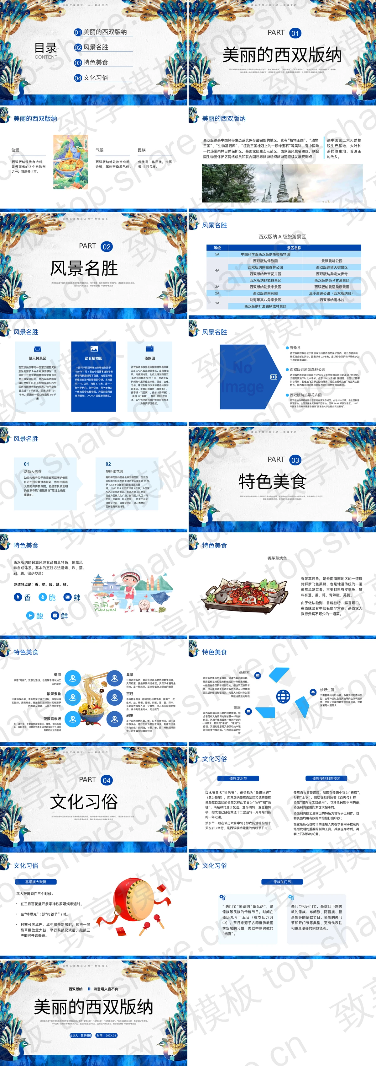 图片[2]-蓝色孔雀背景“美丽的西双版纳”城市介绍旅游推介PPT模板 - 致享TOP-SHARE-致享TOP-SHARE