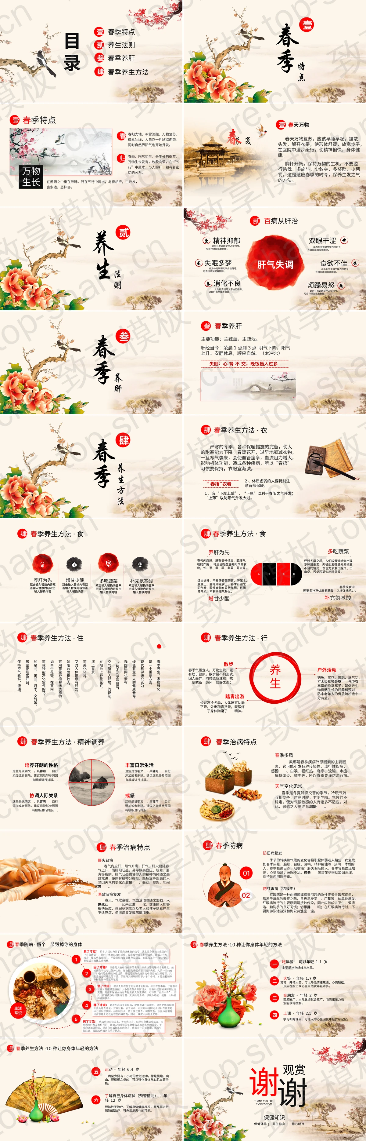 图片[2]-古典工笔花鸟背景春季养生保健知识宣讲PPT模板 - 致享TOP-SHARE-致享TOP-SHARE